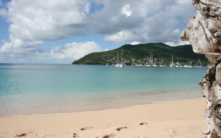 The Beach